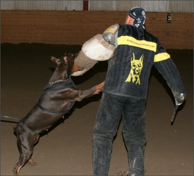 Training in Estonia 11/2007